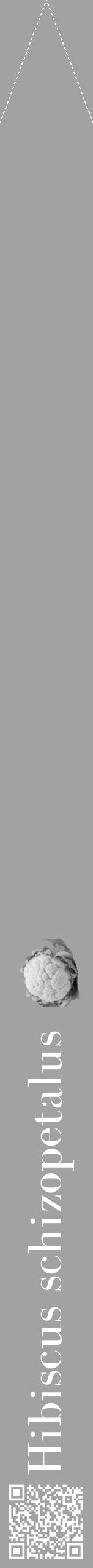 Étiquette de : Hibiscus schizopetalus - format b - style blanche38bod avec qrcode et comestibilité simplifiée - position verticale