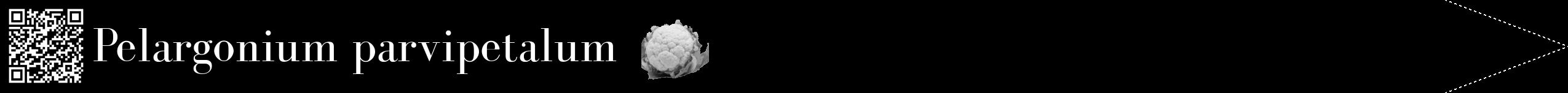 Étiquette de : Pelargonium parvipetalum - format b - style blanche59bod avec qrcode et comestibilité simplifiée