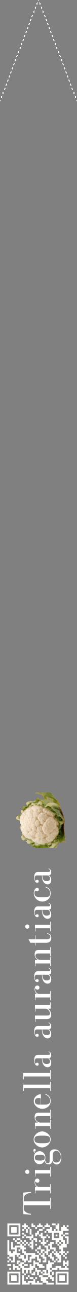 Étiquette de : Trigonella aurantiaca - format b - style blanche57bod avec qrcode et comestibilité simplifiée