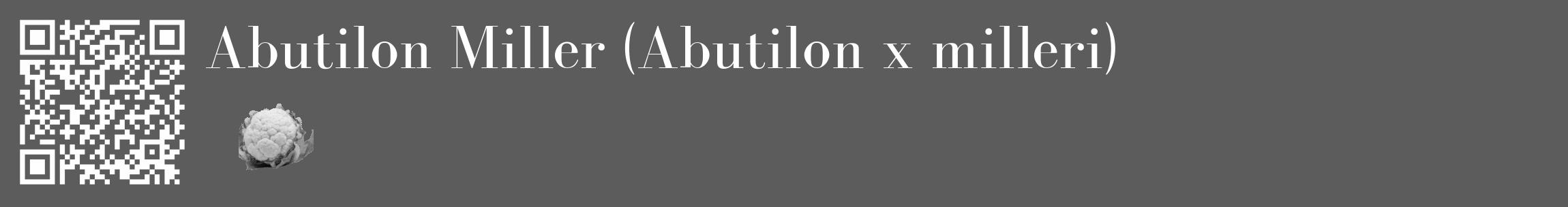 Étiquette de : Abutilon x milleri - format c - style blanche49_basique_basiquebod avec qrcode et comestibilité simplifiée