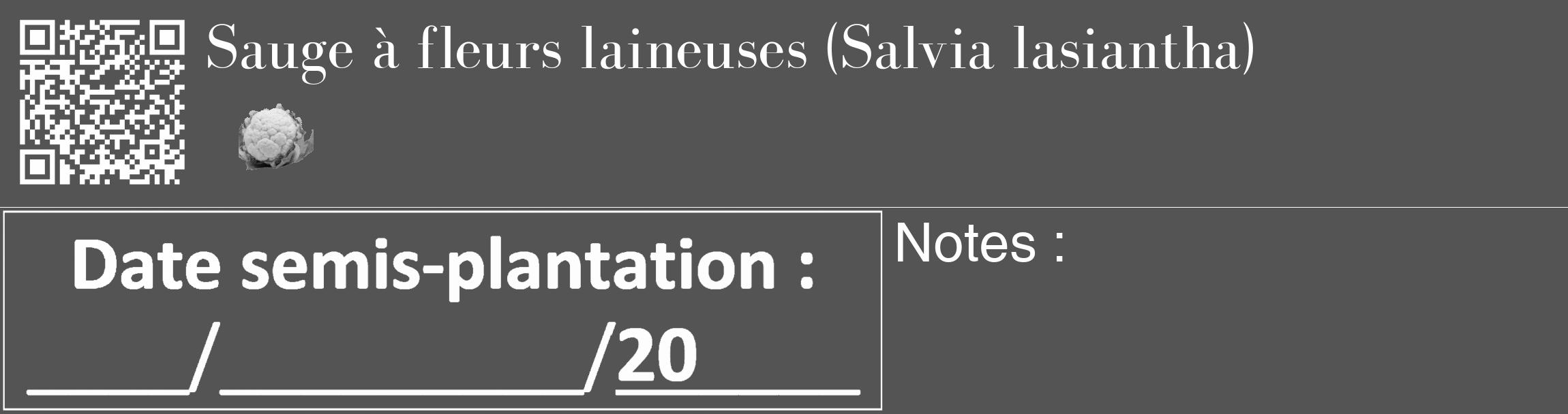 Étiquette de : Salvia lasiantha - format c - style blanche30_basique_basiquebod avec qrcode et comestibilité simplifiée