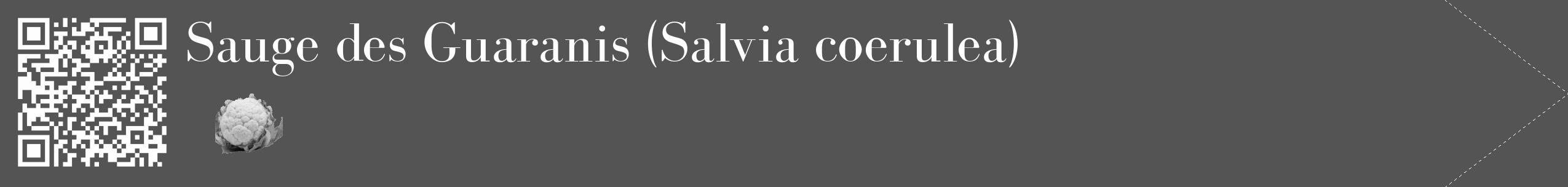 Étiquette de : Salvia coerulea - format c - style blanche36_simple_simplebod avec qrcode et comestibilité simplifiée