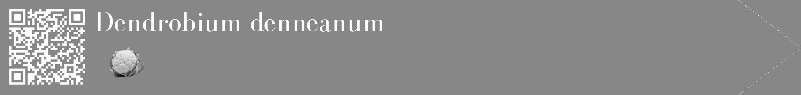 Étiquette de : Dendrobium denneanum - format c - style blanche12_simple_simplebod avec qrcode et comestibilité simplifiée