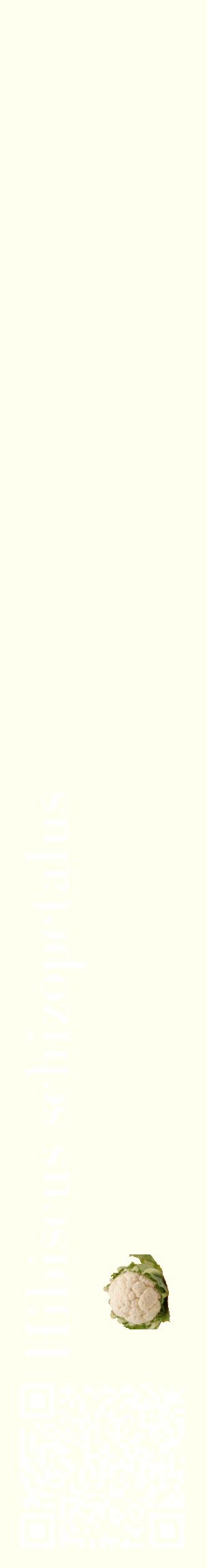 Étiquette de : Hibiscus schizopetalus - format c - style blanche19_basiquebod avec qrcode et comestibilité simplifiée