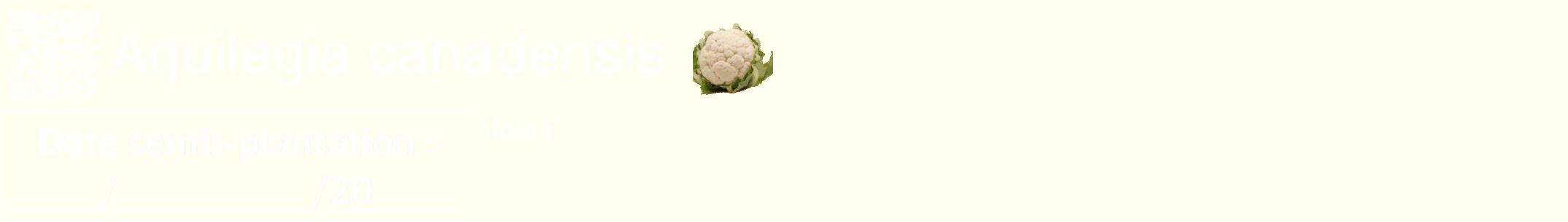 Étiquette de : Aquilegia canadensis - format a - style blanche19hel avec qrcode et comestibilité simplifiée