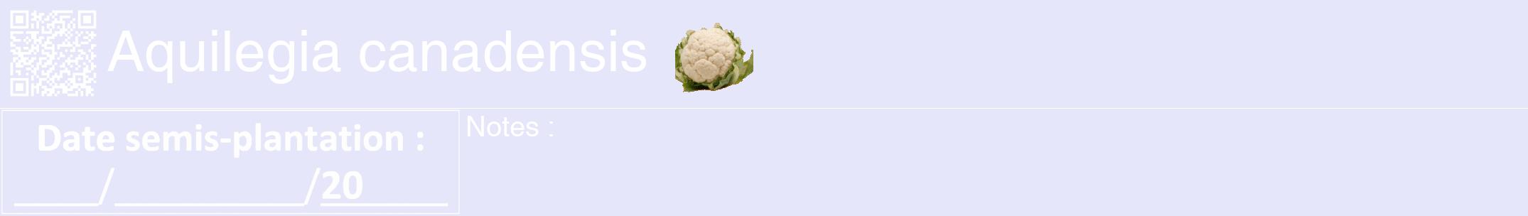 Étiquette de : Aquilegia canadensis - format a - style blanche55hel avec qrcode et comestibilité simplifiée