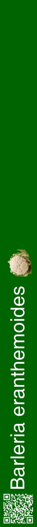 Étiquette de : Barleria eranthemoides - format a - style blanche8hel avec qrcode et comestibilité simplifiée
