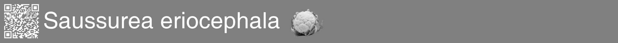 Étiquette de : Saussurea eriocephala - format a - style blanche31hel avec qrcode et comestibilité simplifiée