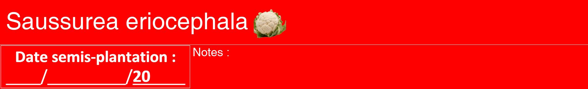 Étiquette de : Saussurea eriocephala - format a - style blanche27hel avec comestibilité simplifiée