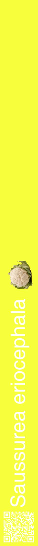 Étiquette de : Saussurea eriocephala - format a - style blanche18hel avec qrcode et comestibilité simplifiée