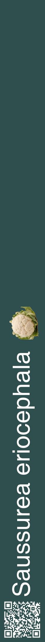 Étiquette de : Saussurea eriocephala - format a - style blanche58hel avec qrcode et comestibilité simplifiée