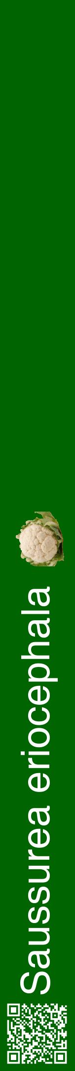 Étiquette de : Saussurea eriocephala - format a - style blanche8hel avec qrcode et comestibilité simplifiée