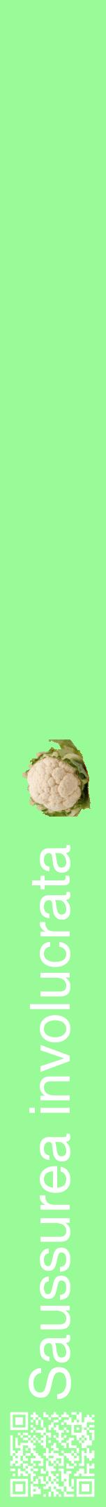Étiquette de : Saussurea involucrata - format a - style blanche14hel avec qrcode et comestibilité simplifiée