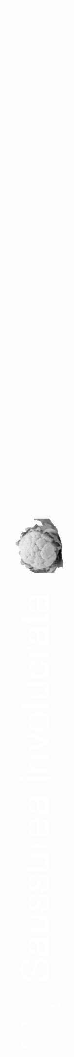 Étiquette de : Saussurea involucrata - format a - style blanche19hel avec qrcode et comestibilité simplifiée - position verticale