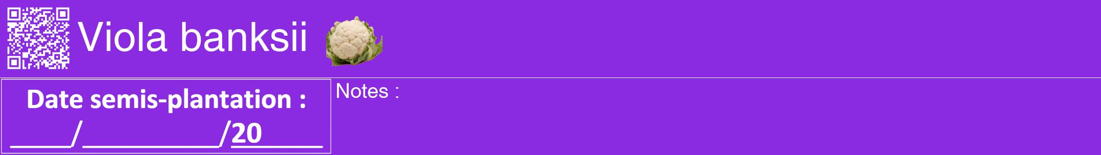 Étiquette de : Viola banksii - format a - style blanche49hel avec qrcode et comestibilité simplifiée