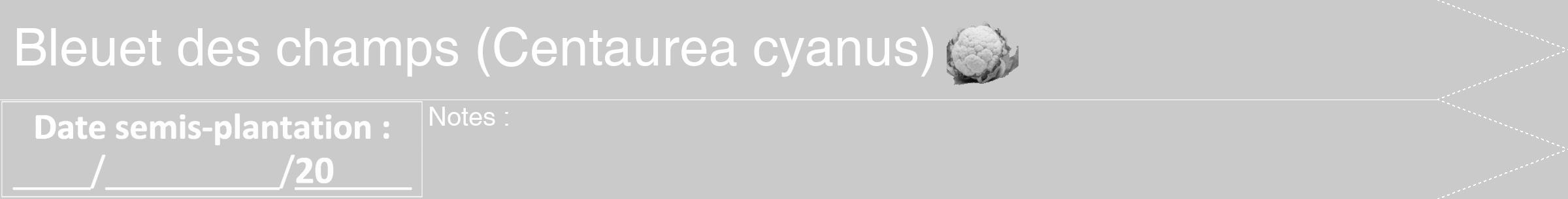 Étiquette de : Centaurea cyanus - format b - style blanche21hel avec comestibilité simplifiée