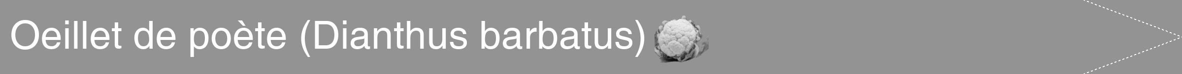 Étiquette de : Dianthus barbatus - format b - style blanche44hel avec comestibilité simplifiée