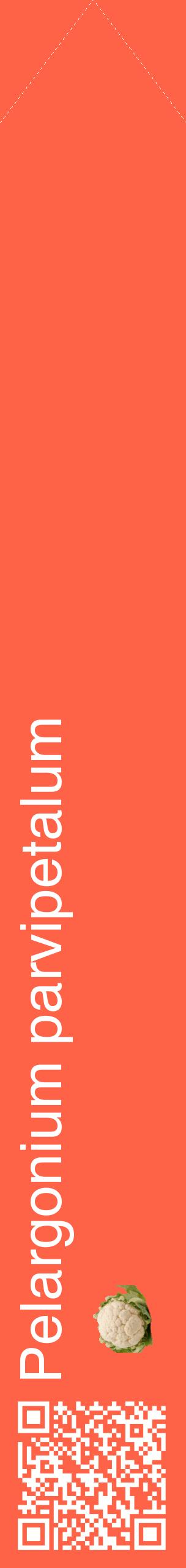 Étiquette de : Pelargonium parvipetalum - format c - style blanche25_simplehel avec qrcode et comestibilité simplifiée