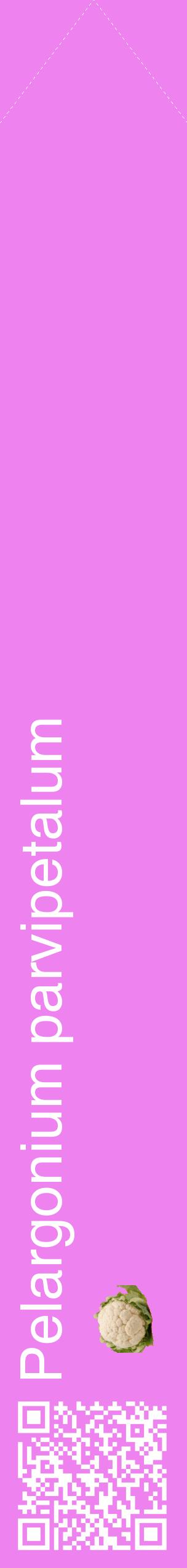 Étiquette de : Pelargonium parvipetalum - format c - style blanche53_simplehel avec qrcode et comestibilité simplifiée
