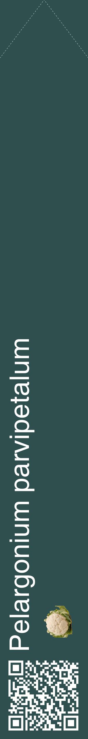 Étiquette de : Pelargonium parvipetalum - format c - style blanche58_simplehel avec qrcode et comestibilité simplifiée