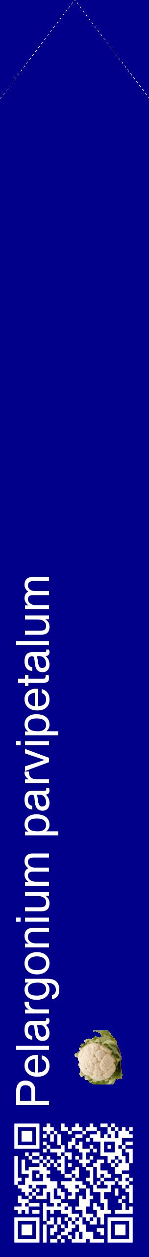 Étiquette de : Pelargonium parvipetalum - format c - style blanche7_simplehel avec qrcode et comestibilité simplifiée