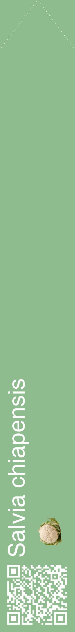 Étiquette de : Salvia chiapensis - format c - style blanche13_simplehel avec qrcode et comestibilité simplifiée
