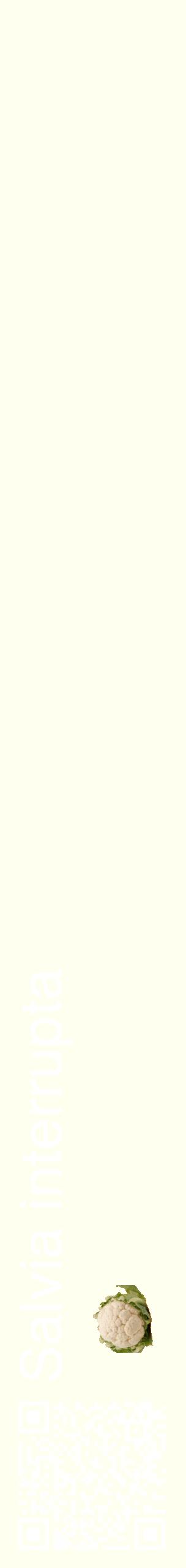 Étiquette de : Salvia interrupta - format c - style blanche19_simplehel avec qrcode et comestibilité simplifiée