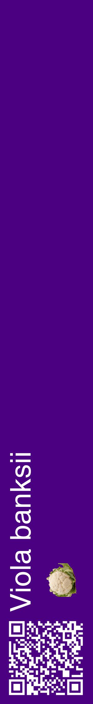 Étiquette de : Viola banksii - format c - style blanche47_basiquehel avec qrcode et comestibilité simplifiée