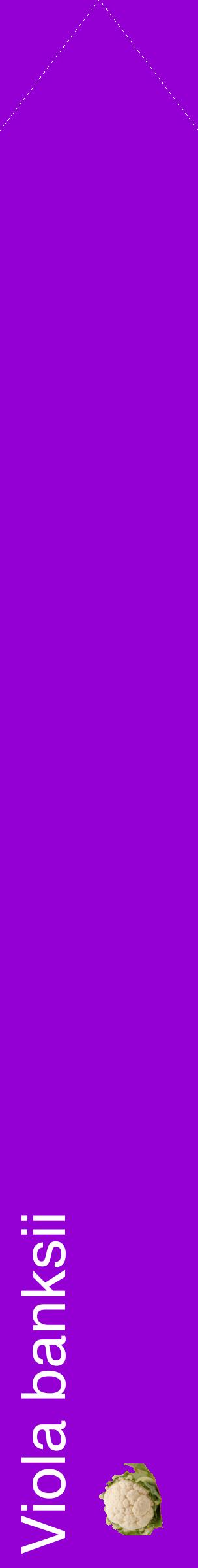Étiquette de : Viola banksii - format c - style blanche48_simplehel avec comestibilité simplifiée