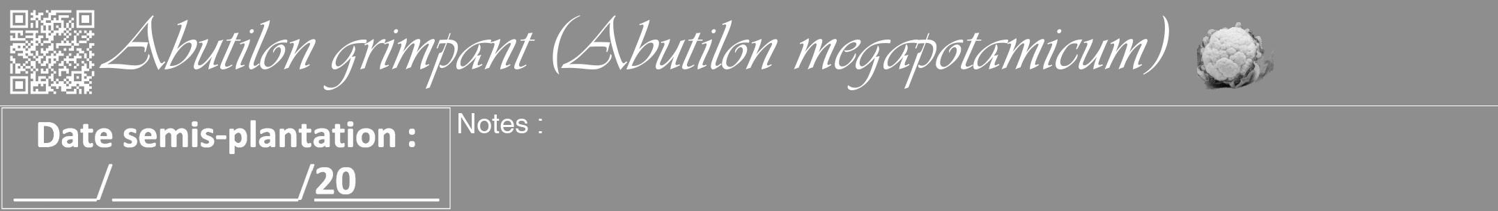 Étiquette de : Abutilon megapotamicum - format a - style blanche25viv avec qrcode et comestibilité simplifiée