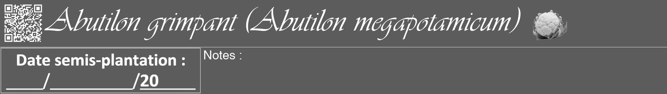 Étiquette de : Abutilon megapotamicum - format a - style blanche49viv avec qrcode et comestibilité simplifiée