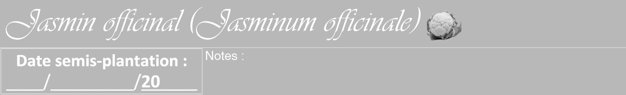 Étiquette de : Jasminum officinale - format a - style blanche39viv avec comestibilité simplifiée