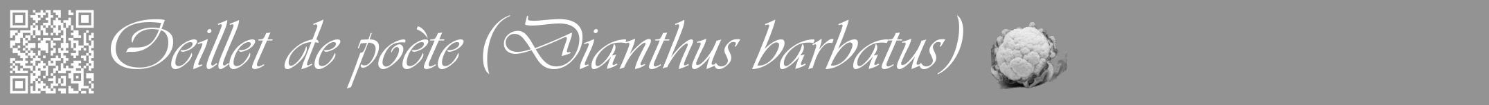 Étiquette de : Dianthus barbatus - format a - style blanche44viv avec qrcode et comestibilité simplifiée
