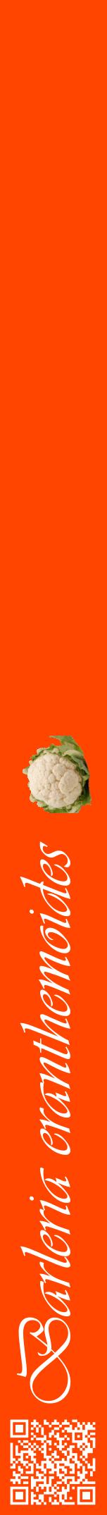 Étiquette de : Barleria eranthemoides - format a - style blanche26viv avec qrcode et comestibilité simplifiée