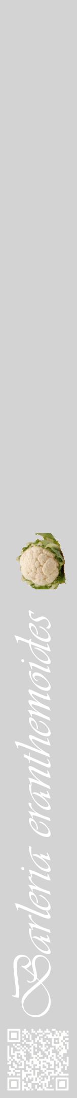 Étiquette de : Barleria eranthemoides - format a - style blanche56viv avec qrcode et comestibilité simplifiée