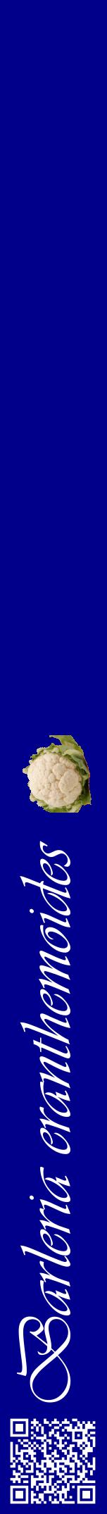 Étiquette de : Barleria eranthemoides - format a - style blanche7viv avec qrcode et comestibilité simplifiée