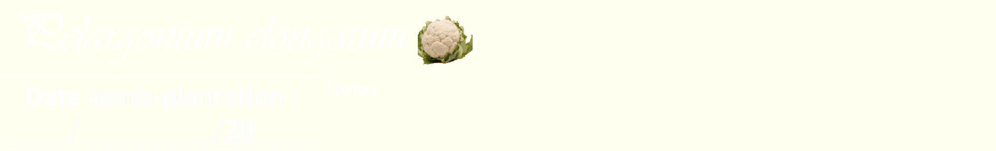 Étiquette de : Pelargonium elongatum - format a - style blanche19viv avec comestibilité simplifiée