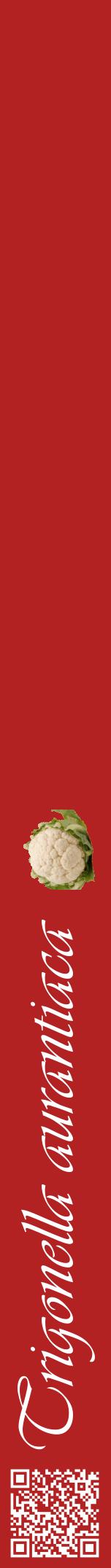 Étiquette de : Trigonella aurantiaca - format a - style blanche28viv avec qrcode et comestibilité simplifiée