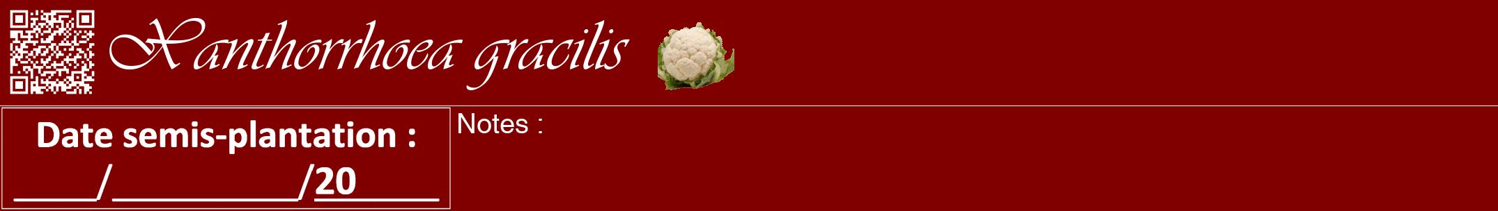 Étiquette de : Xanthorrhoea gracilis - format a - style blanche29viv avec qrcode et comestibilité simplifiée