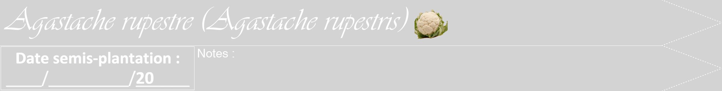 Étiquette de : Agastache rupestris - format b - style blanche56viv avec comestibilité simplifiée