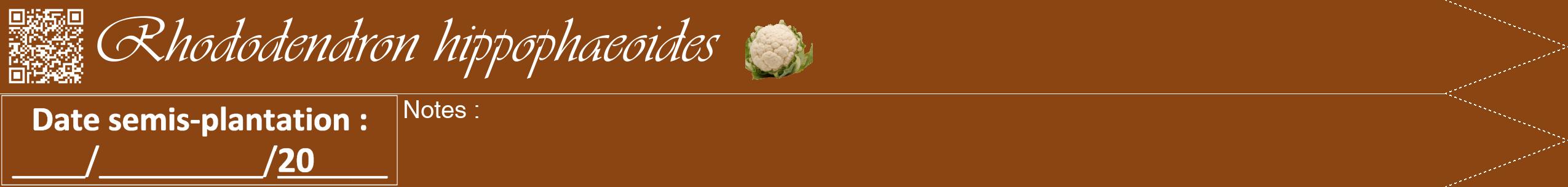 Étiquette de : Rhododendron hippophaeoides - format b - style blanche30viv avec qrcode et comestibilité simplifiée