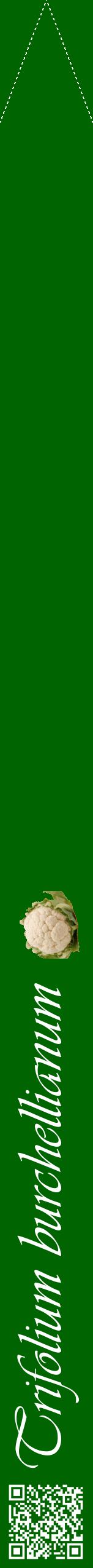 Étiquette de : Trifolium burchellianum - format b - style blanche8viv avec qrcode et comestibilité simplifiée