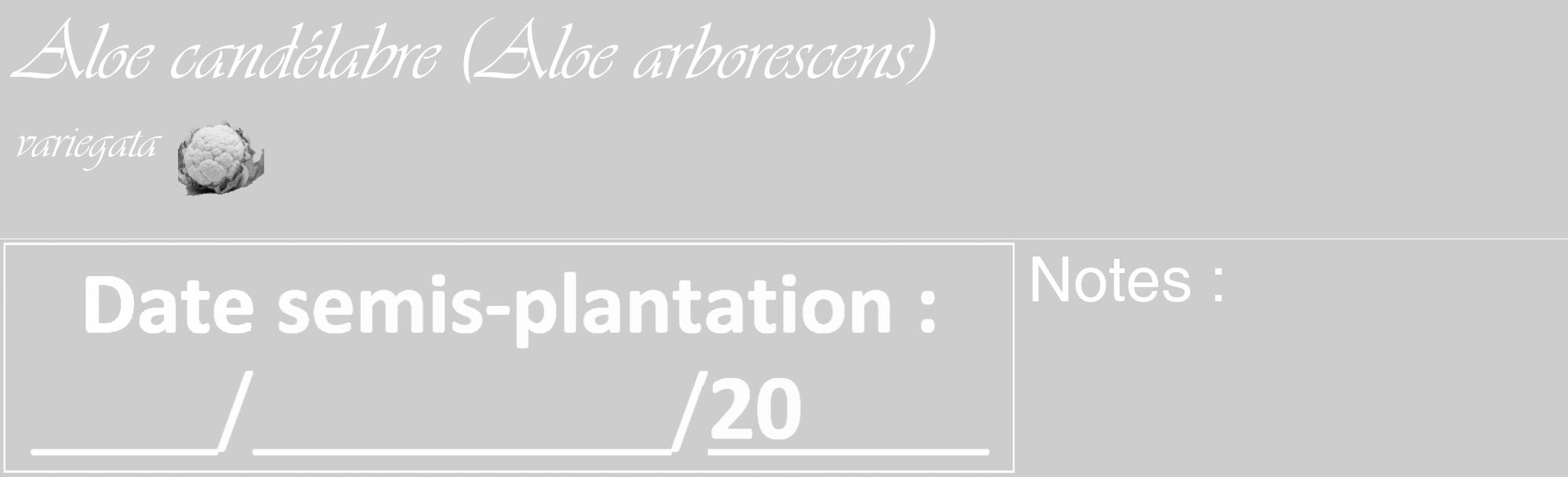 Étiquette de : Aloe arborescens variegata - format c - style blanche41basique_basique_basiqueviv avec comestibilité simplifiée