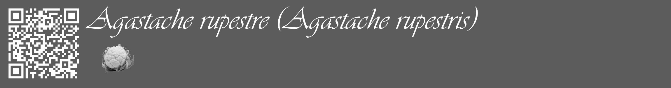 Étiquette de : Agastache rupestris - format c - style blanche49_basique_basiqueviv avec qrcode et comestibilité simplifiée