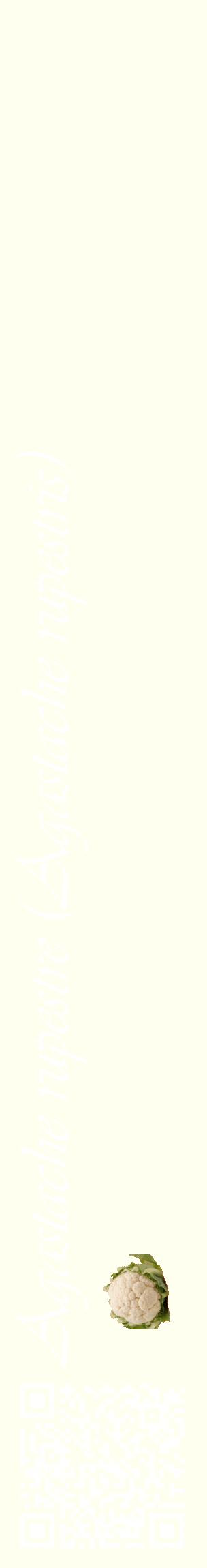 Étiquette de : Agastache rupestris - format c - style blanche19_basiqueviv avec qrcode et comestibilité simplifiée