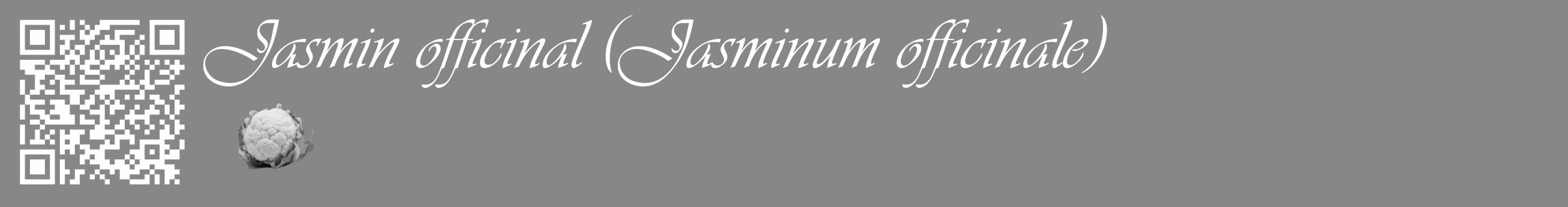 Étiquette de : Jasminum officinale - format c - style blanche12_basique_basiqueviv avec qrcode et comestibilité simplifiée