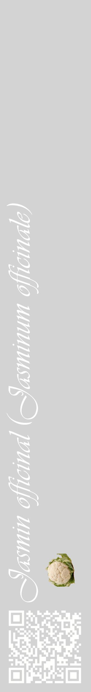 Étiquette de : Jasminum officinale - format c - style blanche56_basiqueviv avec qrcode et comestibilité simplifiée