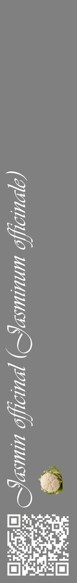 Étiquette de : Jasminum officinale - format c - style blanche57_basiqueviv avec qrcode et comestibilité simplifiée