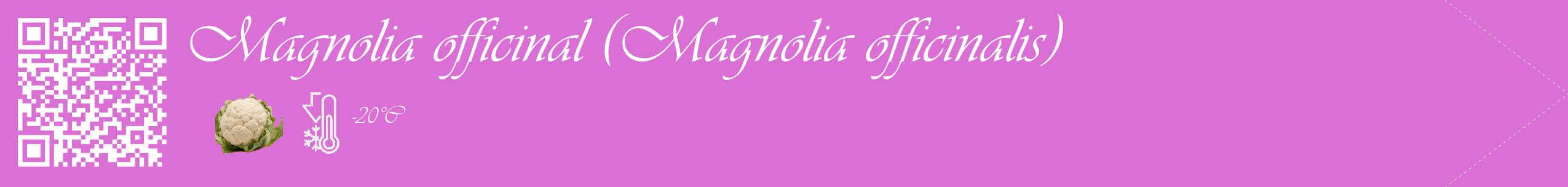 Étiquette de : Magnolia officinalis - format c - style blanche52_simple_simpleviv avec qrcode et comestibilité simplifiée
