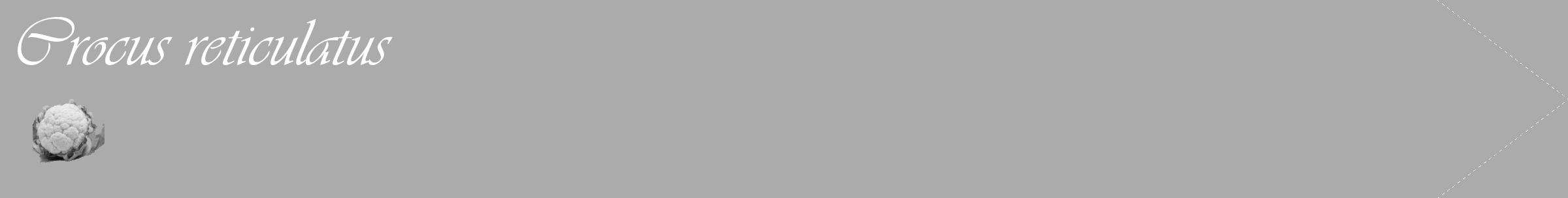 Étiquette de : Crocus reticulatus - format c - style blanche37_simple_simpleviv avec comestibilité simplifiée